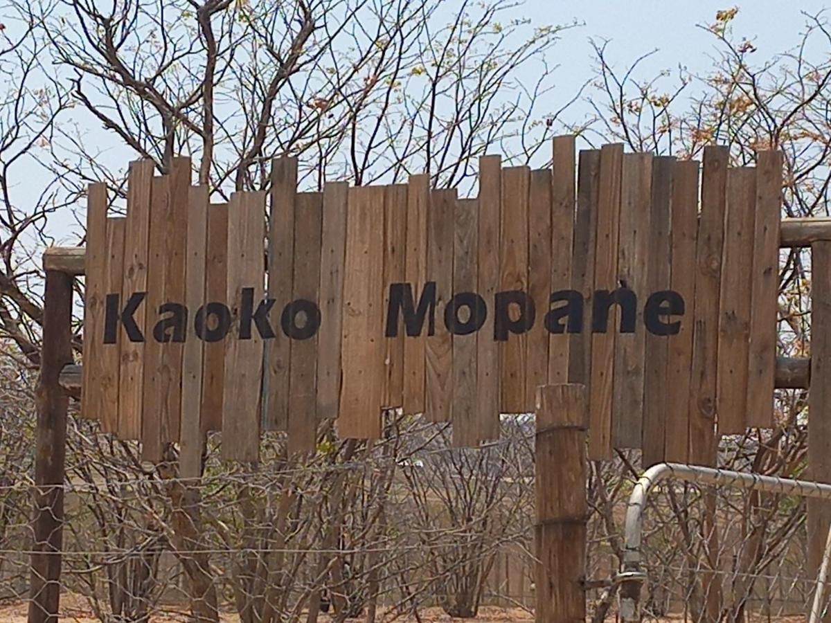 Kaoko Mopane Lodge & Campsite Opuwo Экстерьер фото